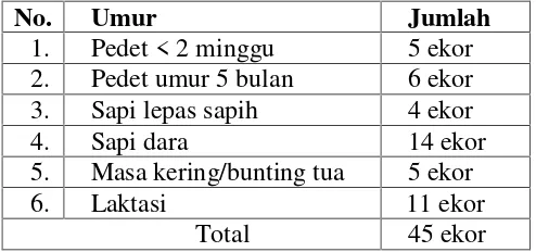 Tabel 3.1 Populasi sapi perah FH di STPP Malang.