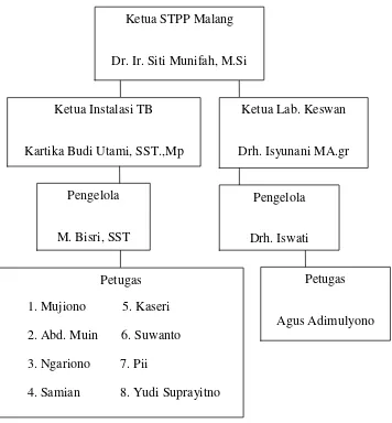 Gambar 3.2.3 Organisasi kepegawaian Instalasi Ternak Besar dan Lab.