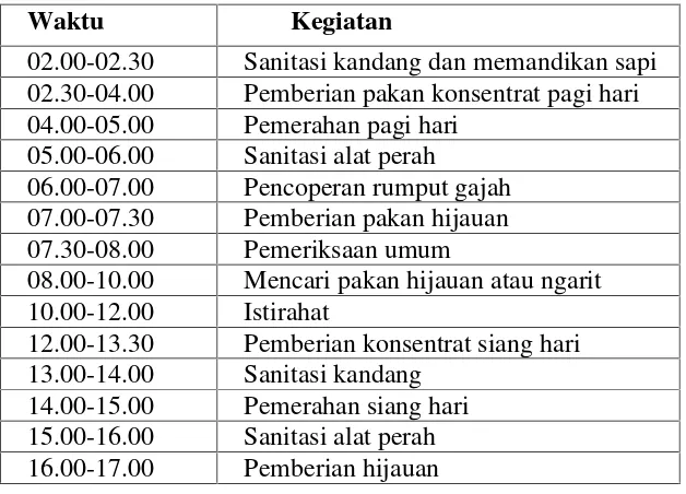 Tabel 3.3.1 Kegiatan Terjadwal di Kandang Sapi Perah STPP Malang