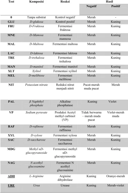 Tabel 2.2. Tes biokimia pada API Staph (Biomerieux,2010) 