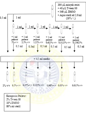 Gambar 4.1 skema pembuatan larutan uji