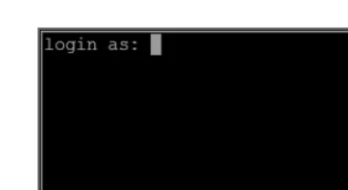 Figure 1-4. Linux server logon screen