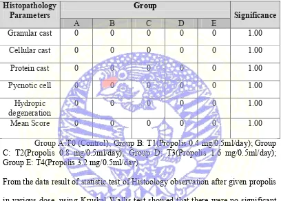 Table 4.1 Histopathology observation scores 