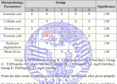 Table 4.1 Histopathology observation scores 