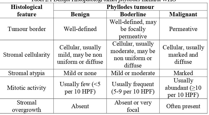 Gambar 2.8 Derajat Histopatologi Tumor Phyllodes  (A) Benign Phyllodes Tumor  Adanya komponen rhamdomyosarcoma pada stroma malignant phyllodes tumor dengan pelebaran epitel duktus