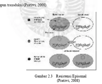 Gambar 2.3  Resistensi Episomal 