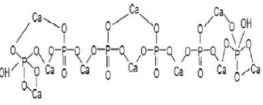 Gambar 2.8. Struktur kimia hidroksiapatit (Yessy & Basril, 2011). 