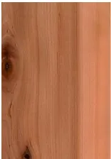 Gambar 1 Pola lapisan pada permukaan kayu[1]