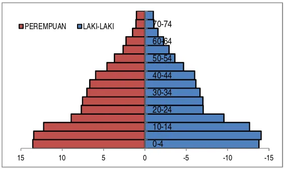 Tabel 2.4 Grafik Piramida Distribusi 