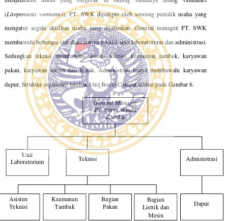 Gambar 6. Struktur Organisasi Tambak PT. SWK Unit Bomo C 