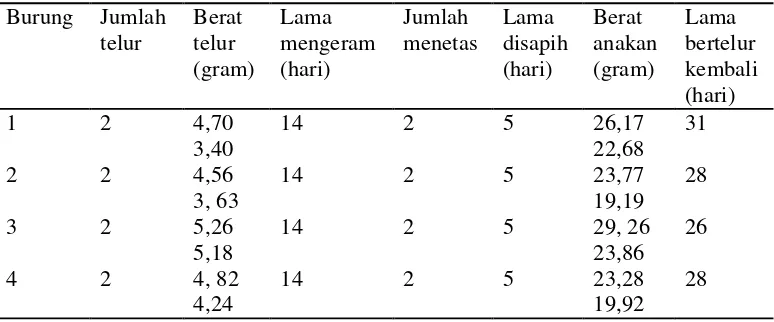 Tabel 1. Penampilan reproduksi burung cucak rawa meliputi  jumlah telur,  berat telur, lama mengeram, dan daya tetas telur, umur sapih dan selang hingga bertelur kembali 