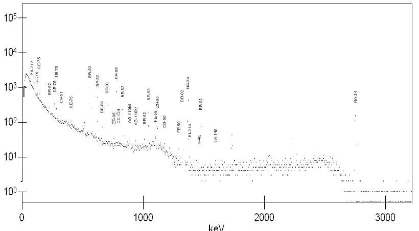 Gambar 1.Profil spektrum-γ cuplikan bahan pangan (ikan tongkol) hasil iradiasi tanggal 2 Desember 2008, di RS3 RSG-GAS, Tiradiasi =1 jam, tdecay =10 hari, t pencacahan =1 jam.