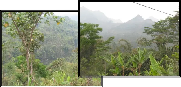 Gambar 5.1 Kawasan lindung di Taman Nasional Bromo - Tengger –