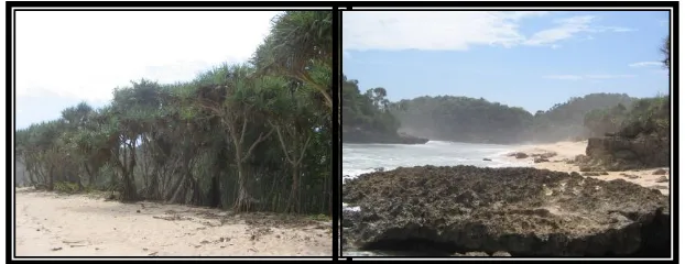 Tabel 5.1 Luas Sempadan Pantai di Kabupaten Malang 