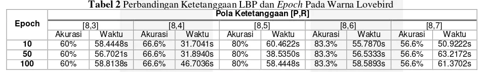 Tabel 2 Perbandingan Ketetanggaan LBP dan Epoch Pada Warna Lovebird 