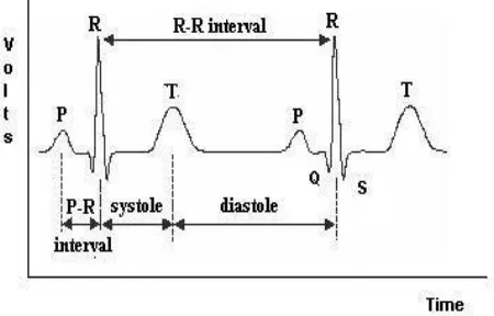 Gambar 2.5 Gelombang EKG 