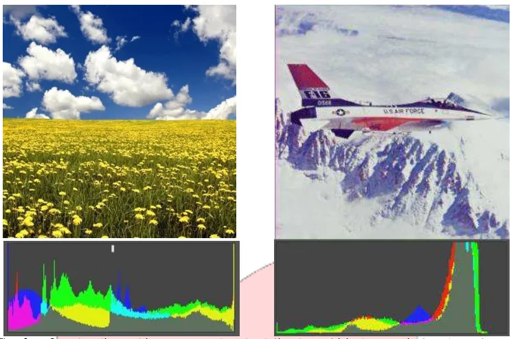 Gambar 3 Perbandingan histogram gambar dandelion.bmp (kiri) dengan airplane.bmp (kanan) 