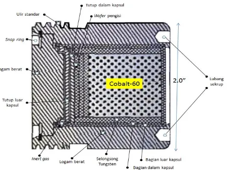 Gambar 3. Struktur kapsul sumber radiasi Cobalt-60 