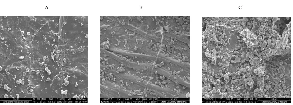 Figure 5: Rice bran surface structures (2000x magnification). A: before treatment; B: treated using water; C treated using xylanase produced by G6 