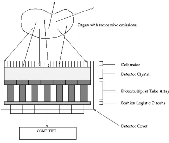 Gambar 2. Proses pencitraan menggunakan perangkat  scintigraphy [3]. 