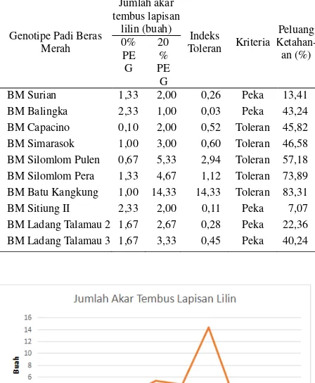 Tabel 7.  Indeks toleransi dan peluang ketahanan sepuluh genotipe padi beras merah  terhadap cekaman kekeringan berdasarkan jumlah akar tembus lapisan lilin 