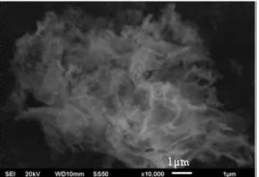 Gambar 3. Mikrofoto SEM serbuk oksida yttrium Y2O3
