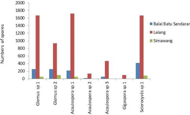 Fig. 2  Type and number of spores on three locations of citronella in West Sumatra 