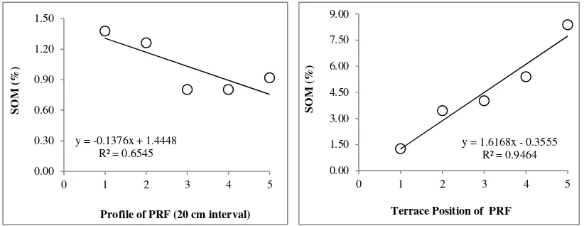 Figure 5 Relationship between depth of soil profile  as well as terrace position and SOM at polluted rice field (PRF)  in Koto Nan IV, Dharmasraya Regency, Indonesia
