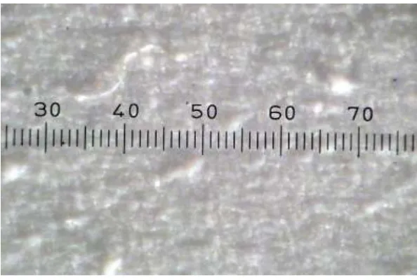 Gambar 3.  Analisis photomicrograph minyak lumas sintetis dengan penambahan 3 % aditif 