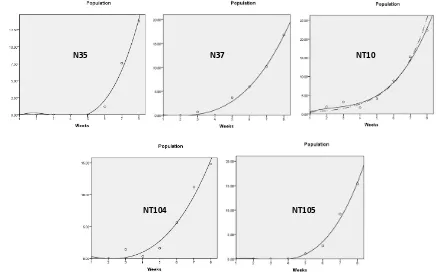 Figure 4. Curve estimation for population fluctuation of Stenocranus pacificus in five new varieties of corn, i.e., N35, N37, NT10, NT104, and NT105 