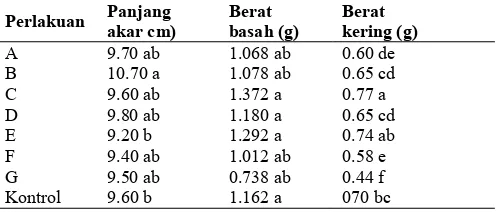 Tabel 3. Kemampuan antibiosis konsorsium bakteri endofit terhadap bakteri patogen R. solanacearum   