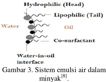 Gambar 3. Sistem emulsi air dalam 