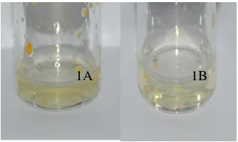 Gambar 1. Pembentukan reaksi tidak sempurna  pada pembuatan nanopartikel emas terbungkus PAMAM dendrimer G4  