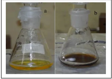 Gambar 4. Perubahan warna a) HAuCl4menjadi b). nanopartikel emas terbungkus  PAMAM dendrimer G4 