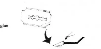 Fig. l: Fragment metal razor bladc glued onto glassmicropipctte