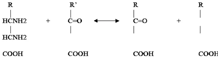 Gambar 2.3 Struktur Kimia Enzim Transaminase (Richard & Ronald, 2004). 