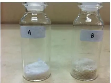 Table 2. Efficiency encapsulation and protein loading of ovalbumin-loaded alginate microspheres 