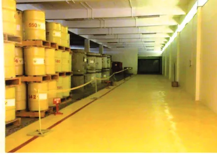 FIGURE 1. View of waste packages in IS-1 building  