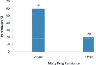 Table 1: The results of sensitivity test of E. coli O157: H7 isolates against various antibiotics 