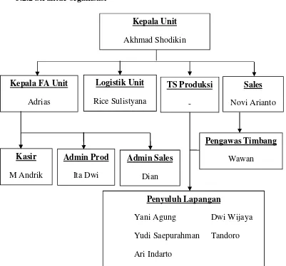 Gambar 3.1 Struktur organisasi PT Ciomas Adisatwa II unit Kediri