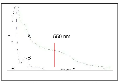 Gambar 2.  Spektrum UV/Vis  dari A) konsentratAuNP-PAMAM G4 dimurnikan dengan vivaspindan B) filtrat dari AuNP-PAMAM G4yangdimurnikan dengan  vivaspin