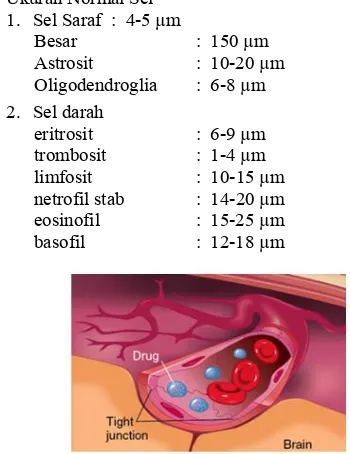 Tabel 1.  Sel-sel penyusun otak. 