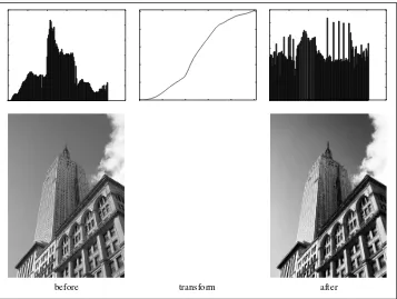 Figure 1-7. Example of histogram equalization. On the left is the original image and histogram