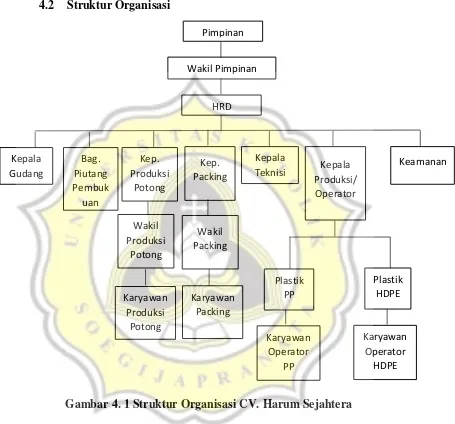 Gambar 4. 1 Struktur Organisasi CV. Harum Sejahtera 