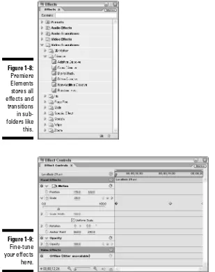 Figure 1-8:Premiere