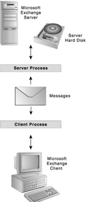 Figure 1.11: Microsoft Exchange is based on the client/server model.