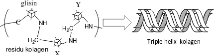 Gambar 1. Struktur residu dan triple helix kolagen