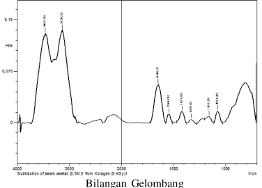 Gambar 5. Spektra FT-IR gugus amida I dan amida IIkolagen hasil iradiasi: (a). 0 kGy, (b)