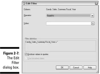 Figure 2-8: A listing of distinct values for variable Fiscal_Year.Figure 2-7: The EditFilterdialog box.