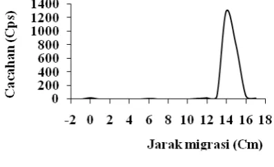 Gambar 3. Kromatogram 46ScCl3 pada eluen DTPA 10 mM dengan kertas kromatografi Whatman 3MM 